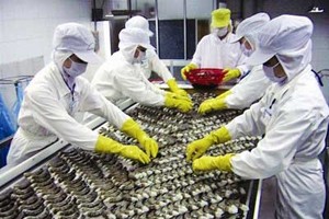 Nhóm SSI muốn rút hết vốn tại ABT