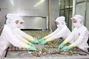 “Vua tôm” Minh Phú đang được giới truyền thông và nhà Kl99ok phiên bản mới chú ý với thông tin xin huỷ niêm yết