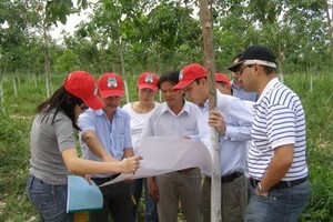 Chủ tịch Hoàng Anh Gia Lai dẫn nhà Kl99ok phiên bản mới tham quan khu trồng cao su tại Lào. Ảnh: HAGL.