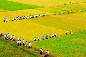 Sẽ tăng tỷ lệ vốn 99Kl99 trực tiếp đá gà tại AGPPS
