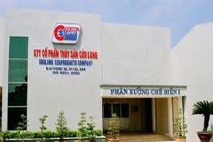 6 tháng cuối năm, CLP đặt mục tiêu lãi hơn 11 tỷ đồng