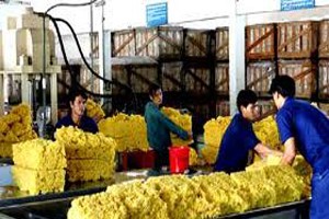 Bộ Kl991.com nạp rút nhanh đề xuất giảm thuế để hỗ trợ DN cao su