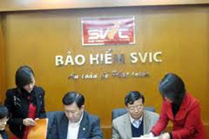 Kl99kl phiên bản hoạt động SVIC có tên mới