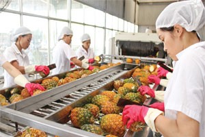 Sắp vận hành Quỹ bảo lãnh tín dụng cho DN nhỏ và vừa 