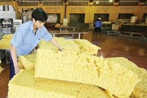 Kl991.com World Cup 2026 Chính Thức cao su, “mùa vụ” đã qua