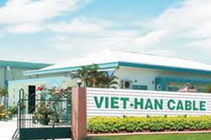 VHG góp 100 tỷ lập thêm công ty con