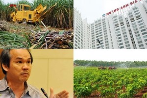 Hết BĐS, đến ngành đường sốc vì bầu Đức
