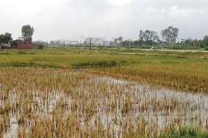 Mặt bằng khu đất 934 mà người dân bị lừa đảo