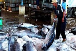 Chủ tịch VNH mua "nhầm" KL99 là cổng game giải trí trực tuyến hàng đầu hiện nay