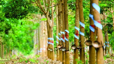 KL99 là cổng game giải trí trực tuyến hàng đầu hiện nay cần quan tâm ngày 5/6