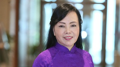 Cựu Bộ trưởng Bộ Y tế Nguyễn Thị Kim Tiến sẽ hầu tòa ngày 20/5 tới.