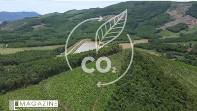Agribank - mắt xích Kl991.com nạp rút nhanh trong chuỗi giá trị tín chỉ carbon