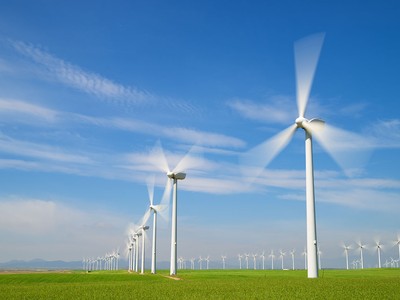 Ảnh Shutterstock