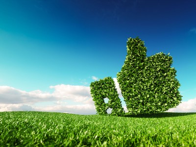 Ảnh Shutterstock