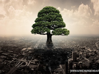 Phát triển đô thị thích ứng và bền vững