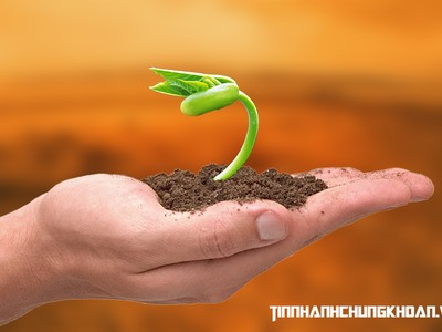 Nhận định thị trường phiên 29/12: Chú ý đến các cơ hội Kl99ok phiên bản mới dài hơi