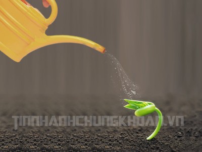 Sự kiện 99Kl99 link đăng nhập đáng chú ý ngày 18/11
