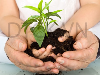 Các lỗi cơ bản khi mua Kl99kl phiên bản hoạt động nhân thọ