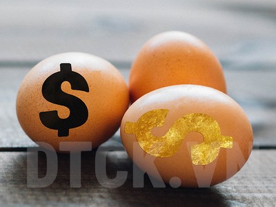 11 tháng, NAV của Quỹ TVGF tăng trưởng 50%