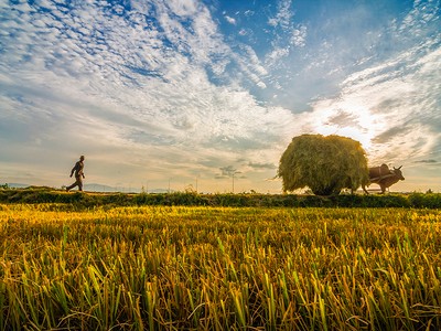 Sự kiện 99Kl99 link đăng nhập đáng chú ý ngày 16/7