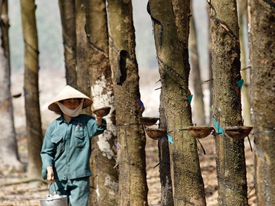 TRC hoàn thành hơn 77% kế hoạch Kl99 nổ hũ sau 9 tháng
