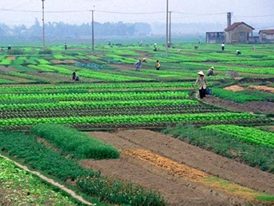 “Ngổn ngang” Dự thảo Nghị định hướng dẫn Luật Đất đai 2013