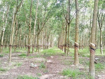 DPR: Trang Chủ KL99Com Số 1 Link Đăng Ký KL999 kêu thiệt