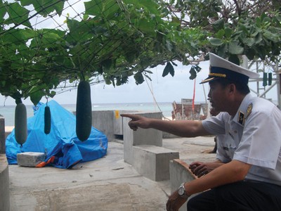 Chuẩn Đô đốc Đặng Minh Hải chỉ giàn bí ở đảo Sinh Tồn Đông bảo: những quả này sẽ để làm giống cho vụ sau