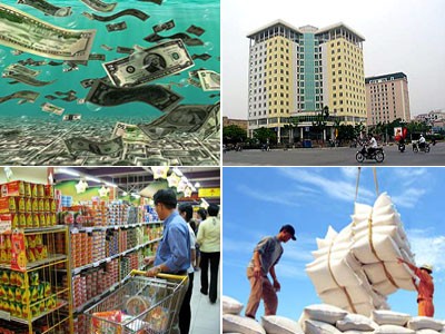 Bình Định cấp phép dự án FDI Kl99ok phiên bản mới chế biến lâm sản