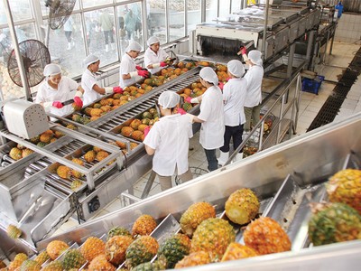 Các sản phầm nông nghiệp cần được chế biến sâu để tăng giá trị