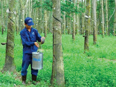 6 tháng, TRC đạt Kl99 nổ hũ gần 80 tỷ đồng