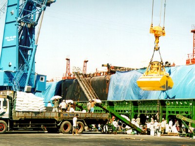 KSD rót tiền Kl99ok phiên bản mới vào chăn nuôi