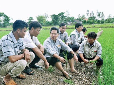 AGPPS triển khai chương trình Cùng nông dân ra đồng và xây dựng Lực lượng 3 Cùng giúp bà con nông dân trên khắp cả nước