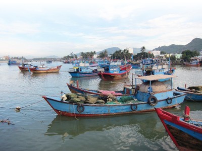 Hiện mới chỉ có 33,57% trong tổng số 28.000 tàu cá (bao gồm các tàu dự kiến đóng mới) tham gia Kl99kl phiên bản hoạt động