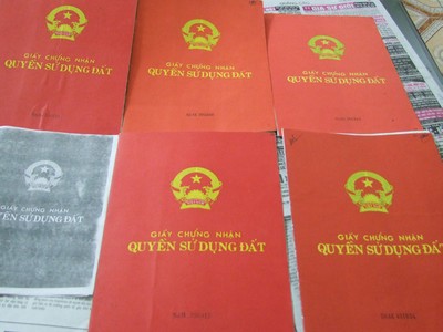 Ảnh Internet