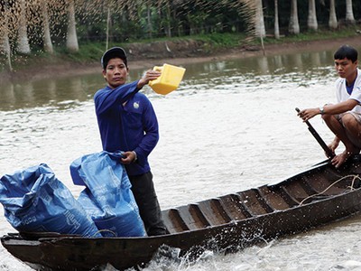 Với chi phí bồi thường hàng năm lên đến hàng trăm tỷ đồng, Kl99kl phiên bản hoạt động chính là “tấm lá chắn” của ngành thủy sản