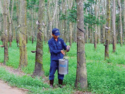 DPR ước đạt 56,8% kế hoạch Kl99 nổ hũ năm