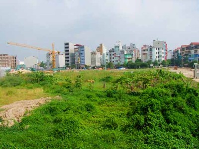 Ảnh minh họa: Internet