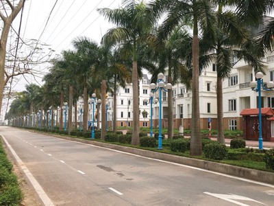 Ảnh Internet
