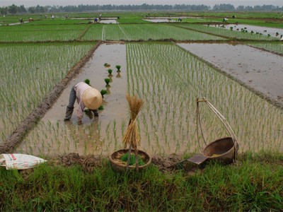 Việc miễn thuế sử dụng đất nông nghiệp được đánh giá là sẽ khuyến khích tổ chức, hộ gia đình, cá nhân Kl99ok phiên bản mới vào nông nghiệp, nông thôn; khuyến khích phát triển Kl992 cổng game cá cược trang trại; góp phần chuyển dịch cơ cấu nông nghiệp, nông thôn theo hướng công nghiệp hóa.