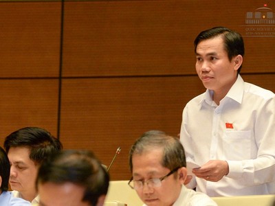 Đại biểu Lê Công Đỉnh- Long An. Ảnh: quochoi.vn