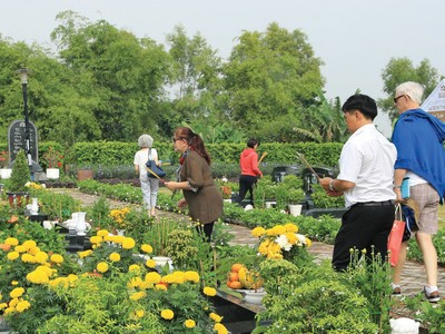 Căn nhà cuối cùng của cuộc đời