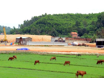VEC thay “tướng” dự án KL99 là nhà cái cá cược trực tuyến hàng đầu tại châu Á Đà Nẵng-Quảng Ngãi