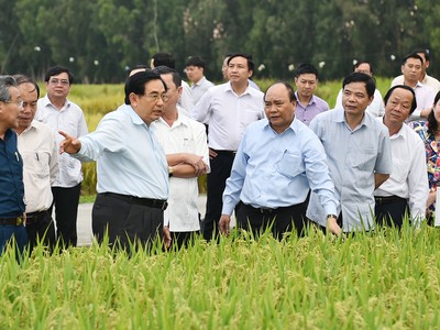 Thủ tướng Nguyễn Xuân Phúc thăm các cánh đồng mẫu, trồng các giống lúa mới của một trung tâm nghiên cứu nông nghiệp tại An Giang, ngày 14/3/2017. Ảnh: VGP/Quang Hiếu