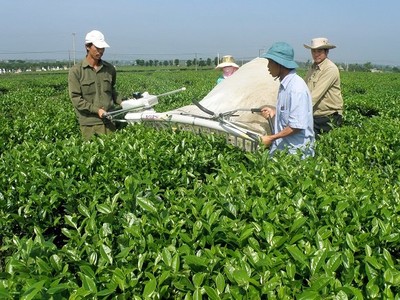 Ảnh Internet