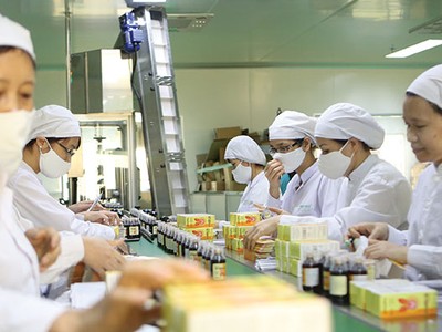 Khu vực 99Kl99 trực tiếp đá gà cần nhỏ lại để khu vực tư nhân lớn lên