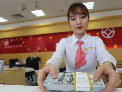 Để cắt hẳn cho vay ngoại tệ thì cũng phải dừng hẳn huy động ngoại tệ