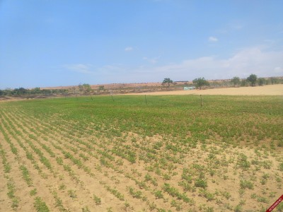 Ảnh Internet