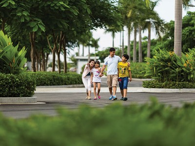 Kl993 Đăng nhập Giải trí đô thị ngày càng cần những lá phổi xanh 