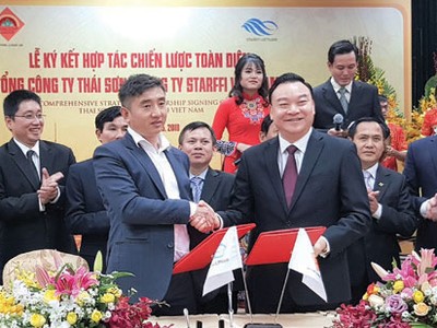 Tổng công ty Thái Sơn hợp tác với Starffi phát triển Web Tổng Nhà Cái 99Kl99 Giải Trí Bậc Nhất công nghiệp